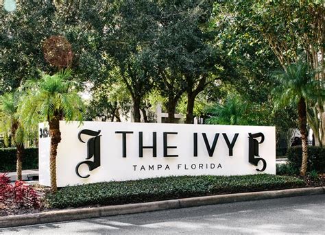 ivy rose tampa reviews|The Ivy Tampa, FL